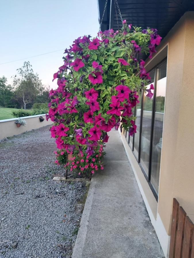 Ard Aoibhinn Roscommon Lecarrow ภายนอก รูปภาพ