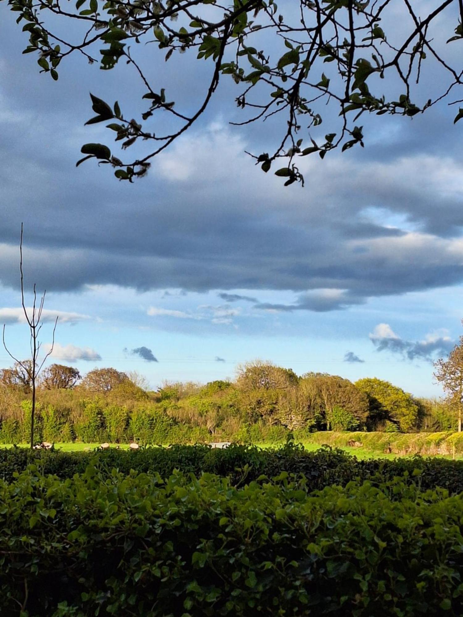 Ard Aoibhinn Roscommon Lecarrow ภายนอก รูปภาพ