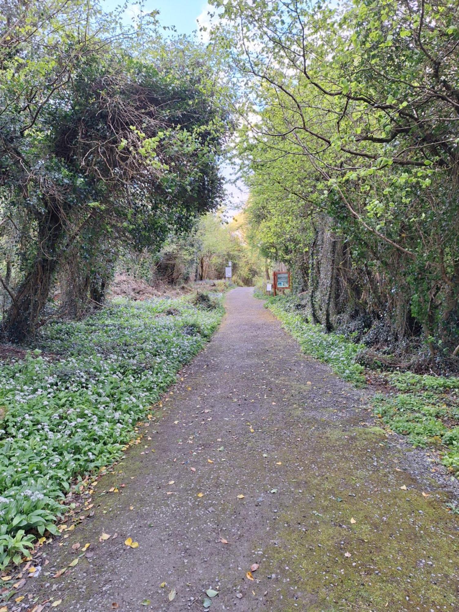 Ard Aoibhinn Roscommon Lecarrow ภายนอก รูปภาพ