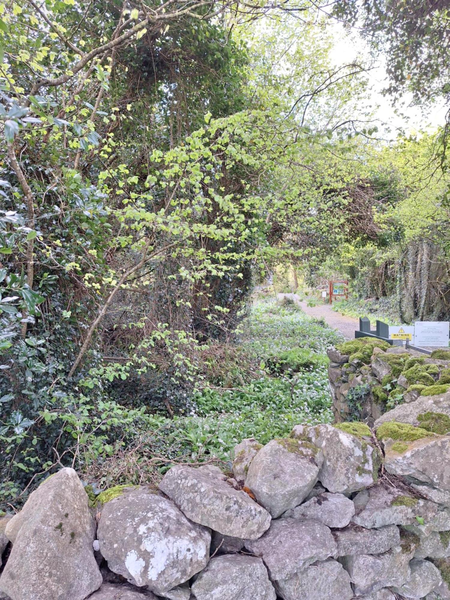Ard Aoibhinn Roscommon Lecarrow ภายนอก รูปภาพ