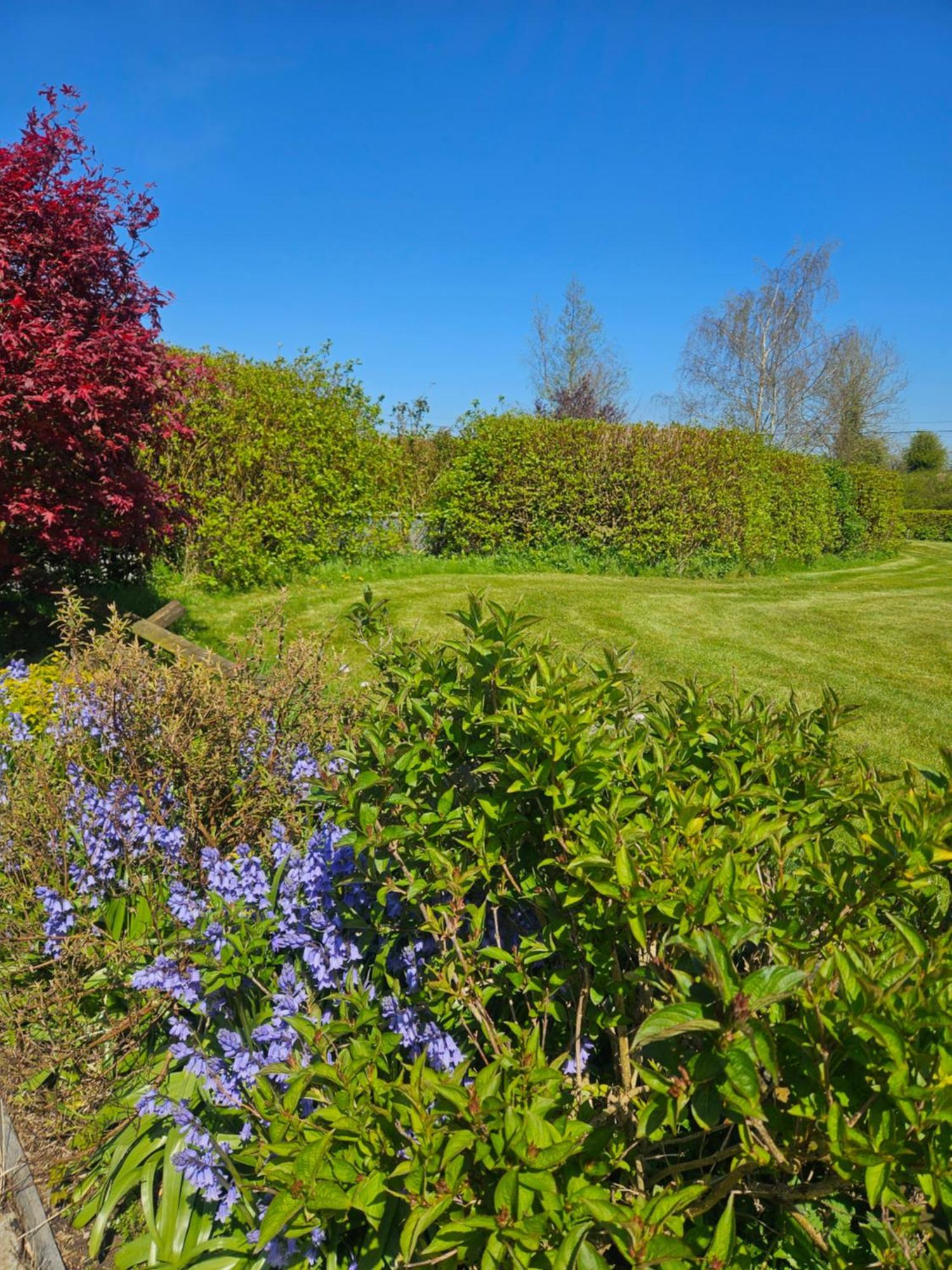 Ard Aoibhinn Roscommon Lecarrow ภายนอก รูปภาพ